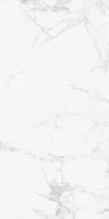 Progress CARRARA CLASSIC  керамогранит полированный 120x60 см  AB 1112G