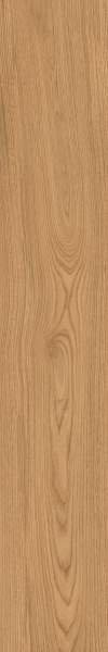 TAGINA Montalcino Quercia Miele 20x120