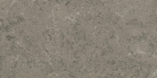 ATLAS CONCORDE Marvel Meraviglia Grigio Elegante 60x120 Lapp.  - Marvel Meraviglia
