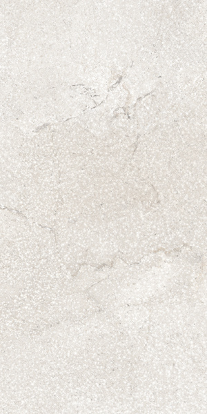 TAGINA Pierre D'avignon Blanc 20x40