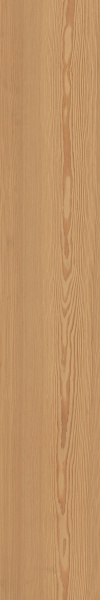 TAGINA Montalcino Larice Miele 20x120