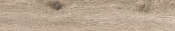 Керамогранит Absolut Gres (Абсолют Грес) Wildwood Grey матовый 120x20 см, AB1120W
