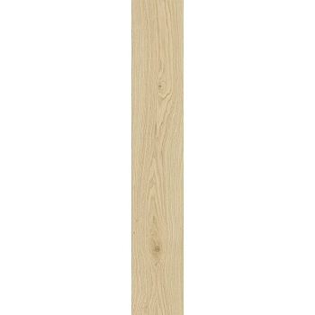 TAGINA Montalcino Batt Rovere Paglierino 6.5x120
