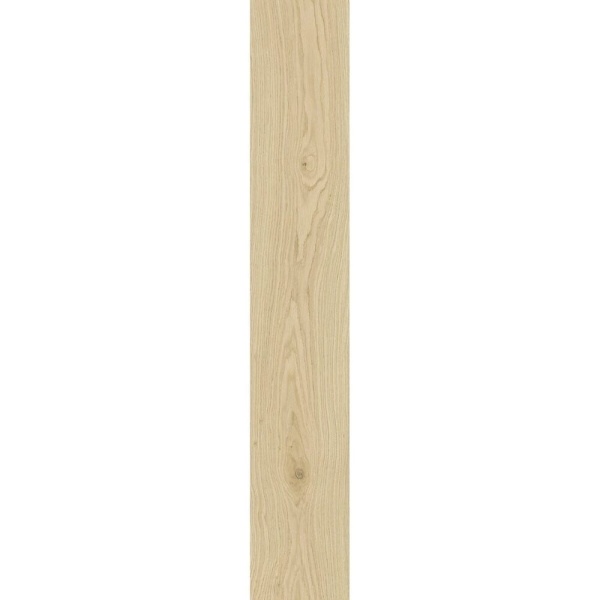 TAGINA Montalcino Batt Rovere Paglierino 6.5x120