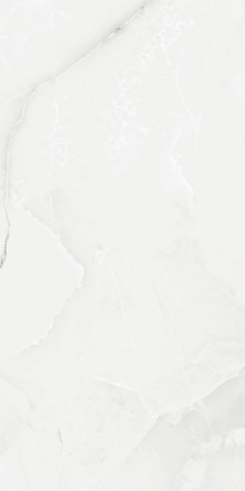 Progress ROYAL GREY LIGHT керамогранит полированный 120x60 см AB 1025G