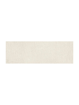 SERENISSIMA Ser 2cm Outdoor Step Tor Conc Avor 33x100