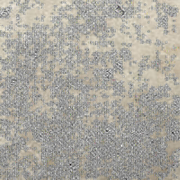 CIR Cir 2cm Outdoor Perlato Sicilia 60x60