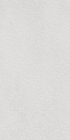 GIGACER Light Curtain 30x60