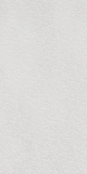GIGACER Light Curtain 30x60