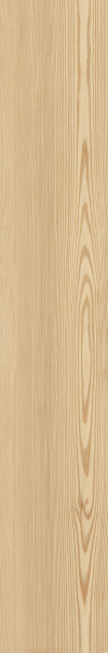 TAGINA Montalcino Larice Paglierino 20x120