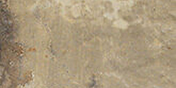 CIR Havana Tropicana 10x20