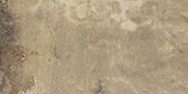 CIR Havana Tropicana 20x40