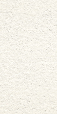GIGACER Light Crespo 30x60