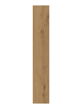 CAESAR Rever Choko 20x120