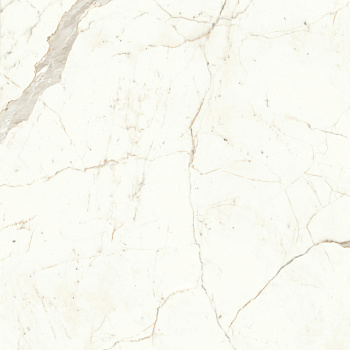 ATLAS CONCORDE MARVEL Calacatta Prestigio 120x120 Lappato - Marvel Shine