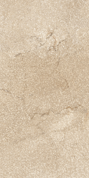 TAGINA Pierre D'avignon Beige 20x40