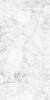 Progress ROSSALIA NATURAL керамогранит полированный 60х120 см AB 1171G