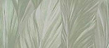 SERENISSIMA Costruire Met Verde 80x180