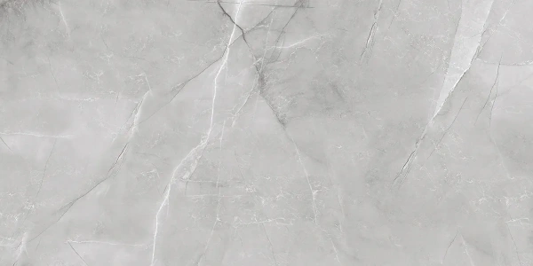 ARMANI SILVER  керамогранит полированный 120x60 см  1142G