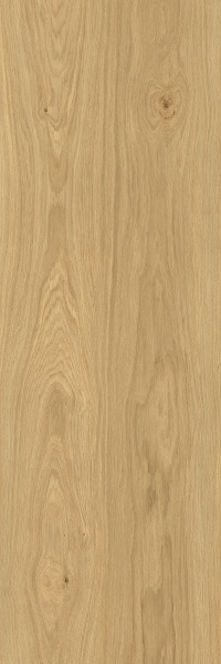 TAGINA Montalcino Rovere Dorato 40x120