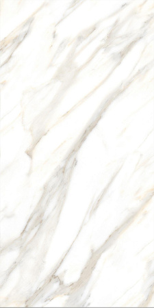 Progress CALACATTA GOLD керамогранит матовый  120x60 см 1016M