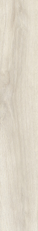 TAGINA Evoque Korina Naturale Ret. 20x120