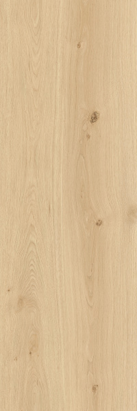 TAGINA Montalcino Rovere Paglierino 40x120