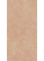GIGACER Aromas Masala Bocciardato R11 Ret. 60x120 21mm