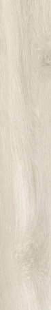 TAGINA Evoque Korina Naturale Ret. 20x120