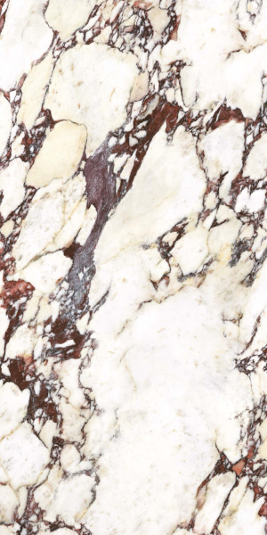 ENERGIEKER Calacatta Viola Rett 60x120