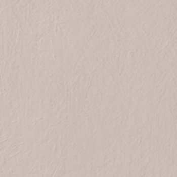 CIR Chromagic Perfect Nude 60x60