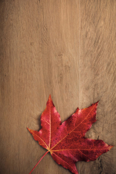 CAESAR Arthis Natur Nat. Ret. Chevron 20x120