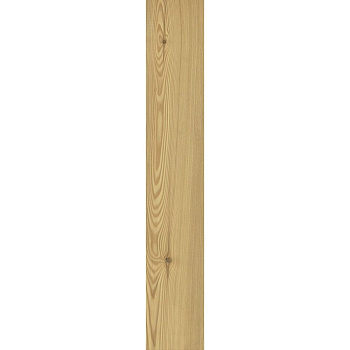 TAGINA Montalcino Batt Larice Dorato 6.5x120