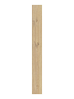CAESAR Rever Anise 20x180