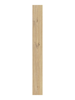 CAESAR Rever Anise 20x180