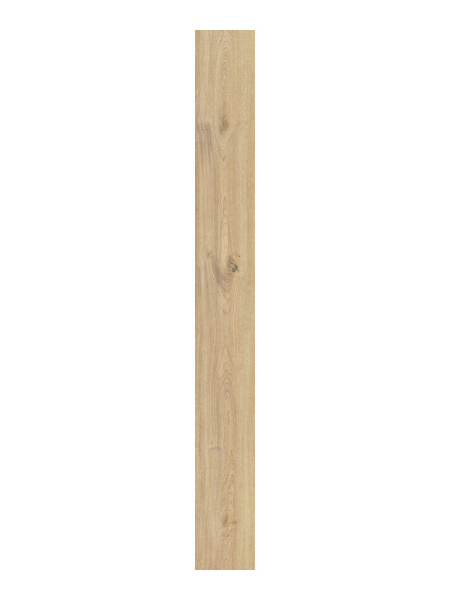 CAESAR Rever Anise 20x180