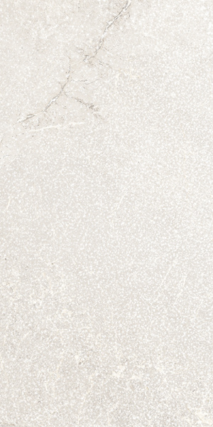 TAGINA Pierre D'avignon Blanc 20x40