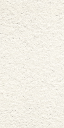 GIGACER Light Crespo 30x60
