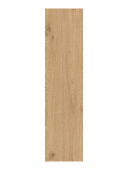 CAESAR Rever Nut 20x180