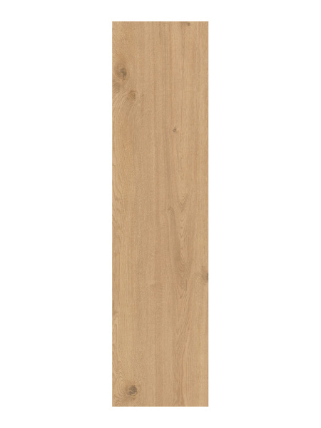 CAESAR Rever Nut 20x180