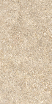 TAGINA Pierre D'avignon Beige 20x40