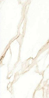 Progress RICATO BROWN керамогранит полированный 120x60 см PRO 1026G