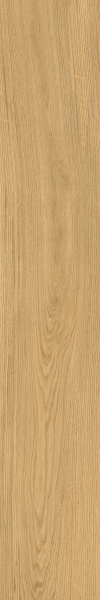 TAGINA Montalcino Quercia Dorato 20x120
