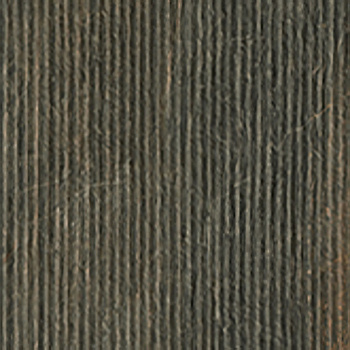 SERENISSIMA Fossil Foss Lines Bruno 30x120