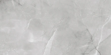 ARMANI SILVER  керамогранит полированный 120x60 см  1142G