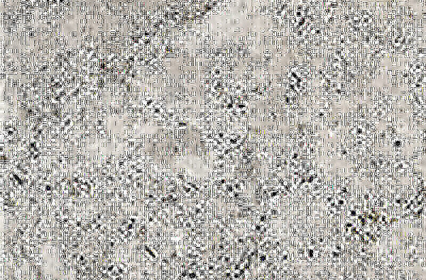 CIR Heritage Grey 40x60.8 1080545