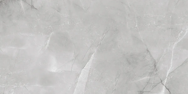 ARMANI SILVER  керамогранит полированный 120x60 см  1142G