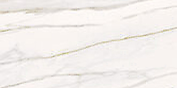 SERENISSIMA Palazzo Fiorentino Silk 60x120