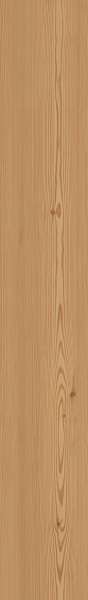 TAGINA Montalcino Larice Dorato 26.5x180