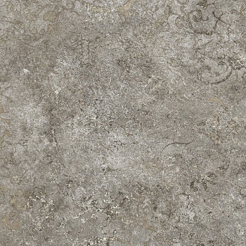 NAXOS Bold Concert 120x120